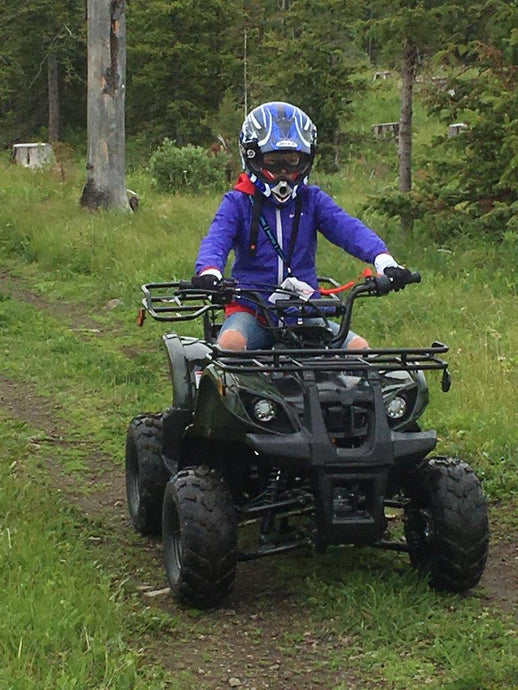 Why I Chose the Tao Tao ATV for My Off-Road Adventures and How It Performed!