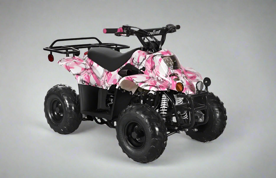 ATV110-6S for sale online. 110cc kids Quad ATV for sale online coolster 110cc atv with reverse 