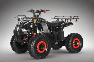 ATV-3125XR8-U mid size 125cc quad for sale