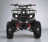 coolster 125cc automatic teen atv