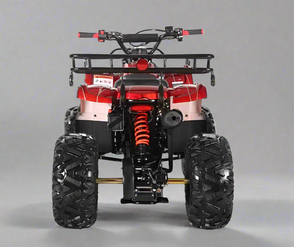 coolster 125cc atv - ATV-3125XR8-U