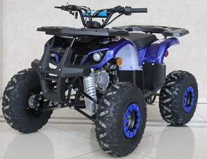 Ace B125 125cc automatic atv