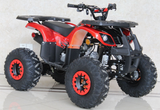 125cc teen atv for sale online. cheap teen atv.Ace B125