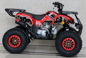 kids quads for sale 125cc. Ace B125 125cc ATV 