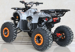 Ace 125cc ATV | Automatic + Reverse | B125