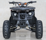 Ace 125cc ATV | Automatic + Reverse | B125