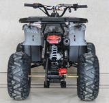 Ace 125cc ATV | Automatic + Reverse | B125